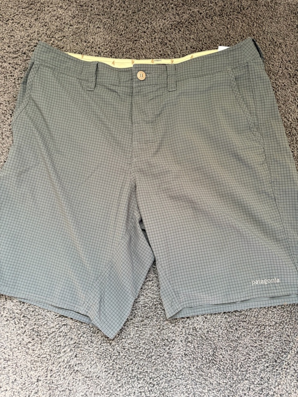 PATAGONIA | Men’s Technical Grid Shorts | Size 36